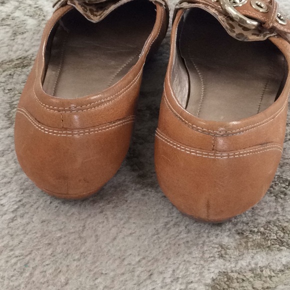 Leopard Flats - Picture 2 of 5